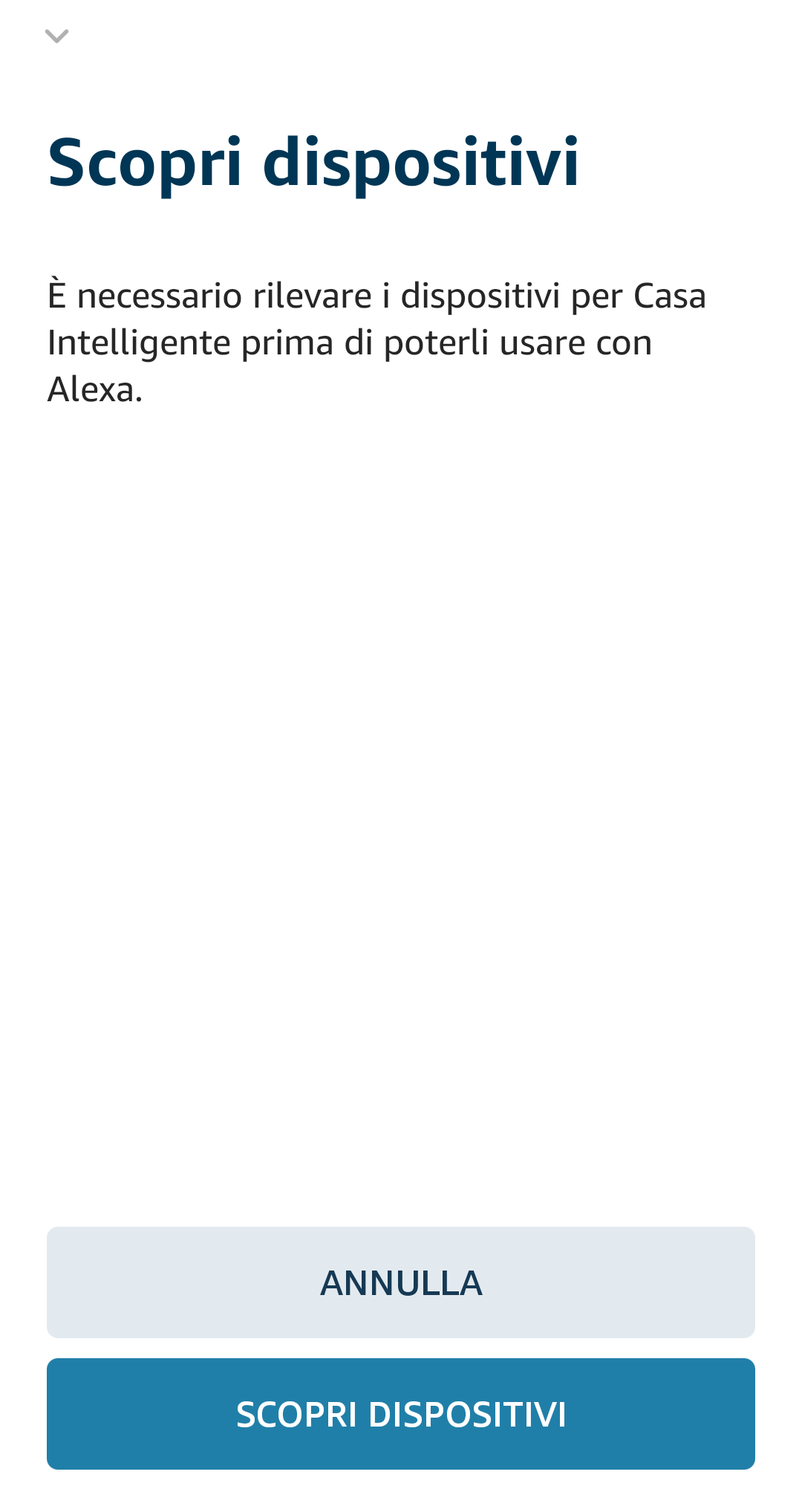 https://www.1control.eu/guide/img/alexa/ita/Guida_alexa_8_ita.png