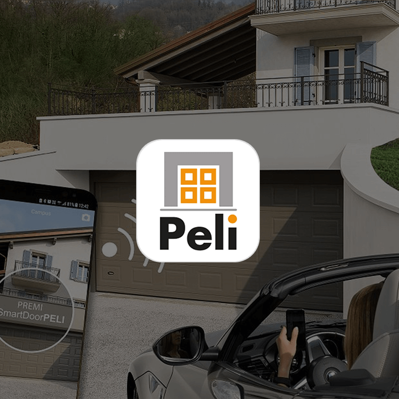 SmartDoorPELI2